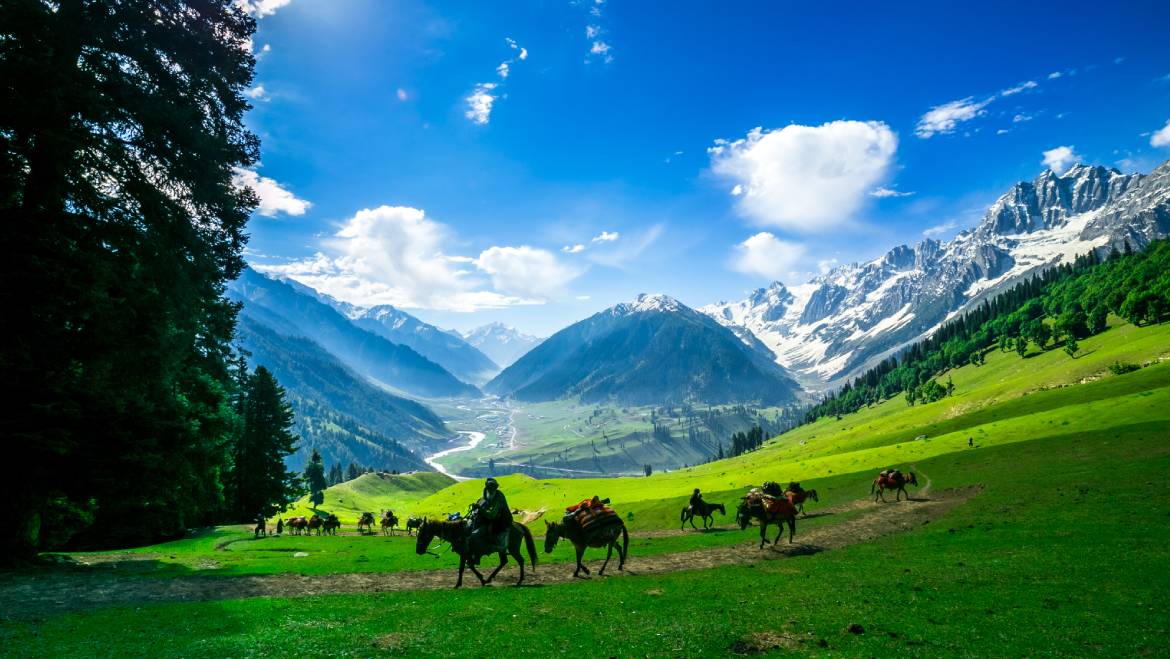Srinagar Gulmarg Tour Package